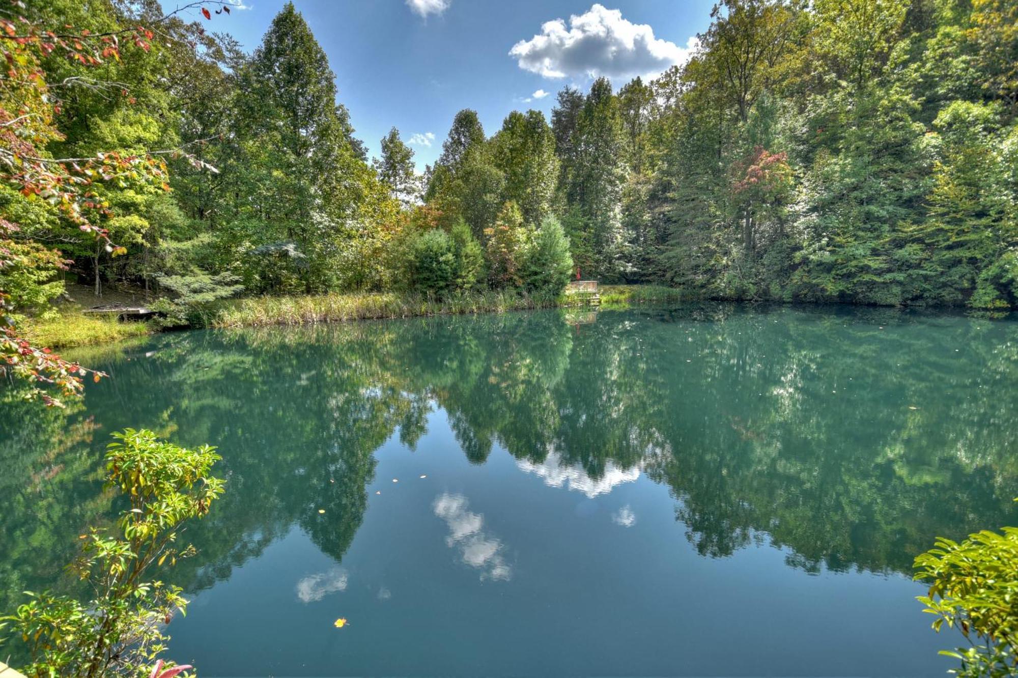 Waywish Waterfront Cabin In Blue Ridge Mountains Esterno foto