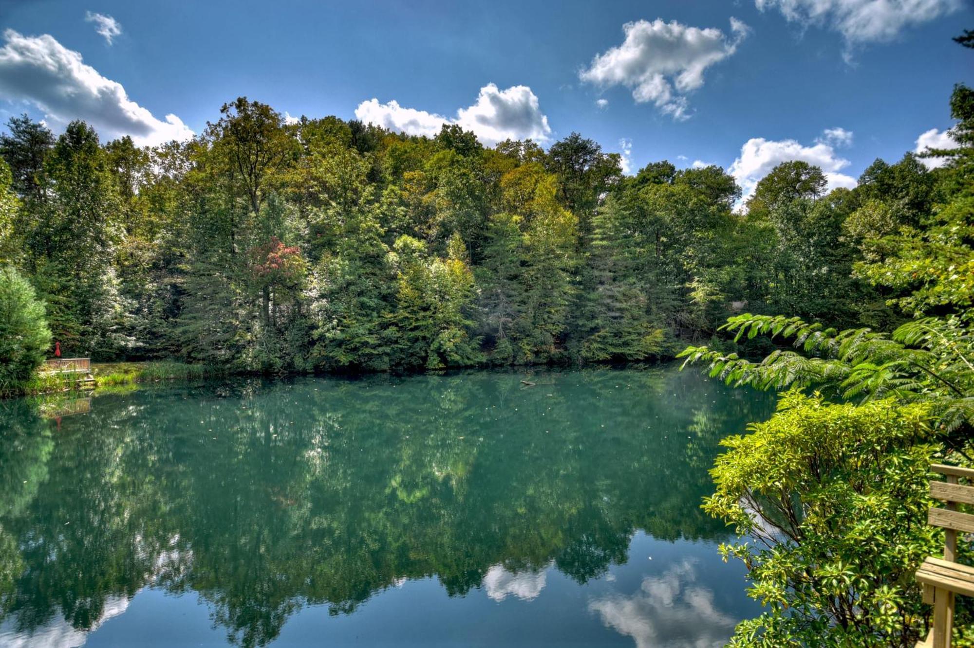 Waywish Waterfront Cabin In Blue Ridge Mountains Esterno foto