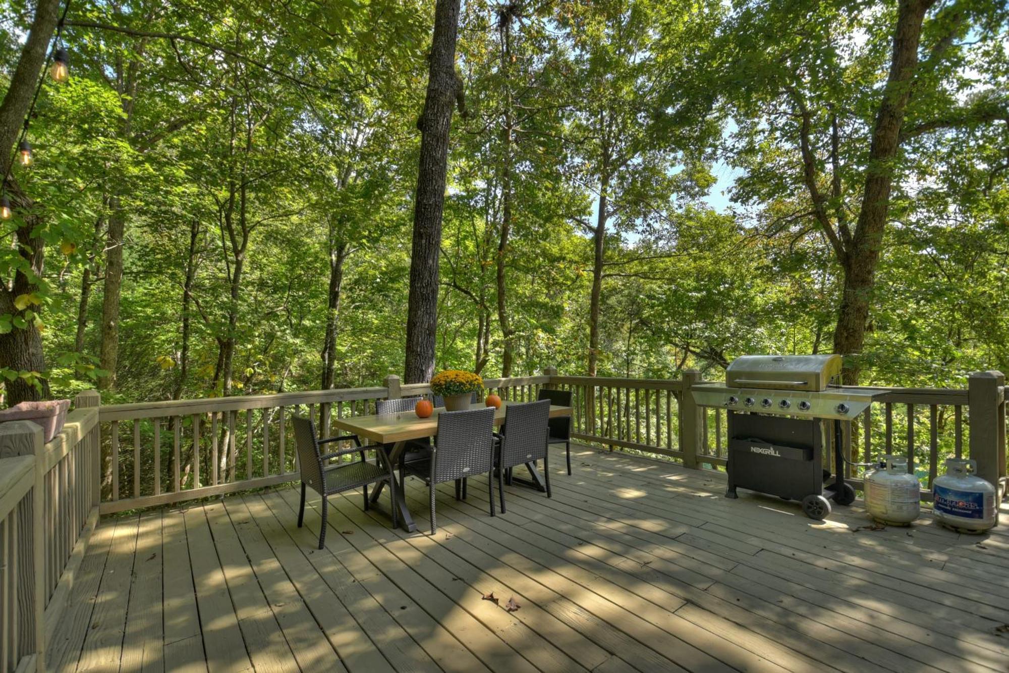 Waywish Waterfront Cabin In Blue Ridge Mountains Esterno foto